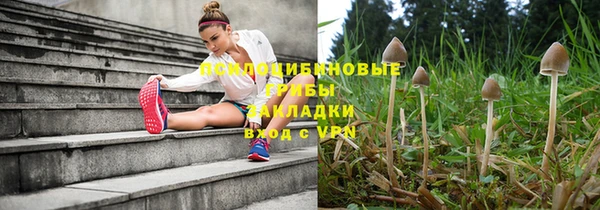 мяу мяу мука Дмитров