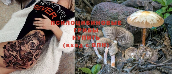прущая мука Няндома